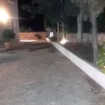 Pere Menorca *